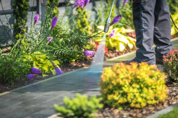 Best Soft Washing  in North Plainfield, NJ