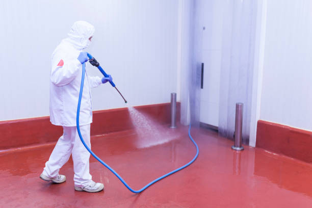 Best House Exterior Washing  in North Plainfield, NJ
